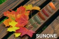 729ed671f090dee2de4fb98d36bfbe97