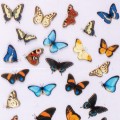 16fcdcd31d77bba97c46b86e7cbfa757