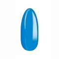 256030