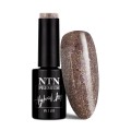 NTN Premium 166 Celebration Collection kolorowy lakier hybrydowy do paznokci 5g 01.jpg