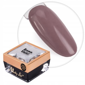 Molly Lac Paint Gel 20 Brown Violet Żel do zdobień ombre i ornamentów HEMA/Di-HEMA Free 5g