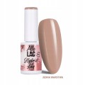 460829