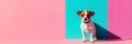 470793