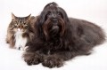 471487