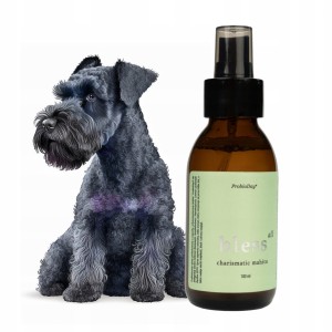 ProbioDay Probiotyczne Delikatne Perfumy do Sierści Psa Bez Alkoholu Mojito 100ml