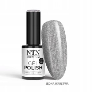 NTN Premium Lakier do Paznokci Hybrydowy 566 Grey Glitter szary brokatowy limitowany 5g