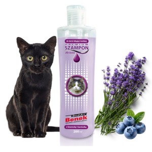 Super Benek Premium Szampon pielęgnacyjny dla kotów Lawenda Borówka 250ml
