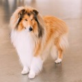 799ed8ee4eafc08cc984adad740760db