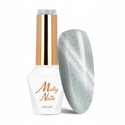 Molly Nails Lakier Hybrydowy Cat Eye Womanity 447 Rainy Day Srebrny 8g