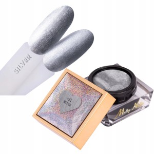 Molly Nails pasta żel do zdobień paznokci UV LED Nail Art Basic Silver 14 Srebrny 5g