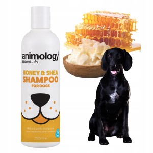 Animology Łagodny Szampon z Odżywką dla Psów Miód i Masło Shea 250ml