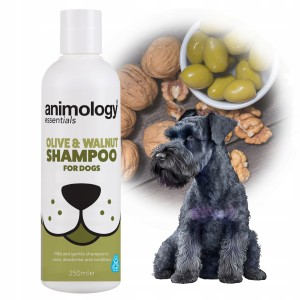 Animology Odżywczy Szampon dla Psów Oliwka i Orzech Włoski 250ml