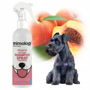 Animology Szampon bez Spłukiwania dla Psa Brzoskwiniowy 250ml