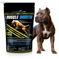 Game Dog Muscle Booster Suplement na Masę i Regenerację Psa 400g 01.jpg