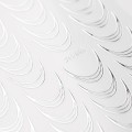 b1a88bace802f0d5a6fffd64fcc12cdd