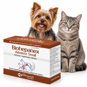 Biohepanex Advance Small Biowet preparat na wsparcie wątroby dla małych psów i kotów 40 kapsułek