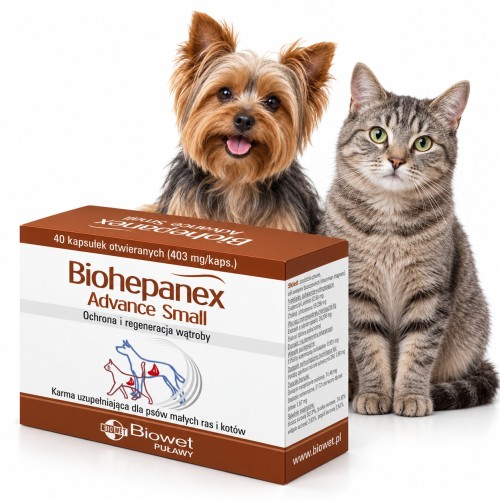 Biohepanex Advance Small Biowet preparat na wsparcie wątroby dla małych psów i kotów 40 kapsułek