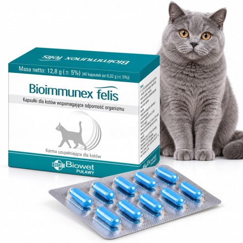 Bioimmunex felis Biowet preparat z beta-glukanem na odporność kota 40 kapsułek