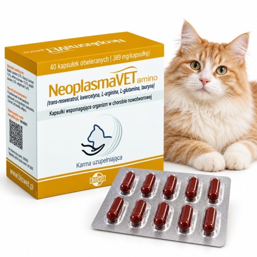 NeoplasmaVET Amino Biowet preparat wspierający koty w chorobie nowotworowej 40 kapsułek