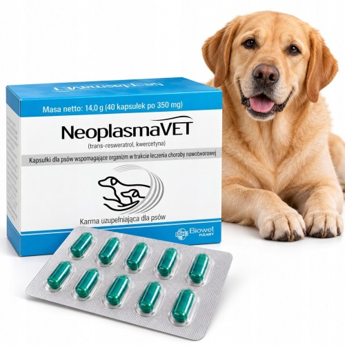 NeoplasmaVET Biowet preparat wspierający psy przy chorobie nowotworowej 40 kapsułek