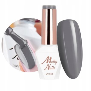 Molly Nails The Trend Edit Lakier hybrydowy szary stalowy Steel 307 8 g