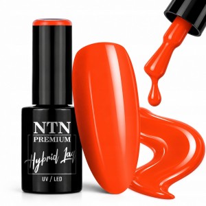 NTN Premium Lakier Hybrydowy Do Paznokci 338 Orange Pomarańczowy 5g