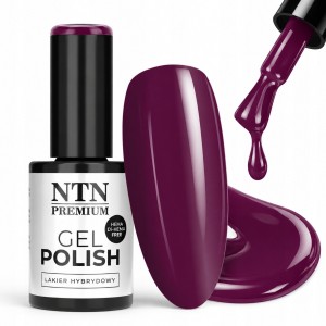 NTN Premium Lakier Hybrydowy Do Paznokci 550 Śliwkowy Purples 5g