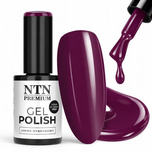 NTN Premium Lakier Hybrydowy Do Paznokci 550 Śliwkowy Purples 5g